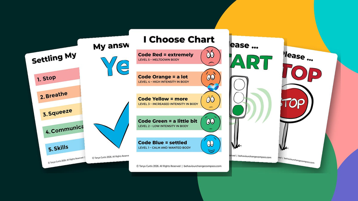 Why visual behaviour resources work – and who they help