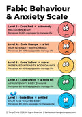 Behaviour/Anxiety Scale – with Descriptions