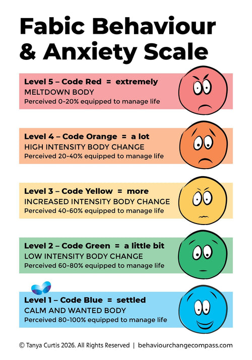Behaviour/Anxiety Scale – with Descriptions