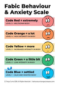 Behaviour/Anxiety Scale – No Descriptions