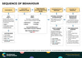 Sequence of Behaviour – Behaviour Change Poster 11
