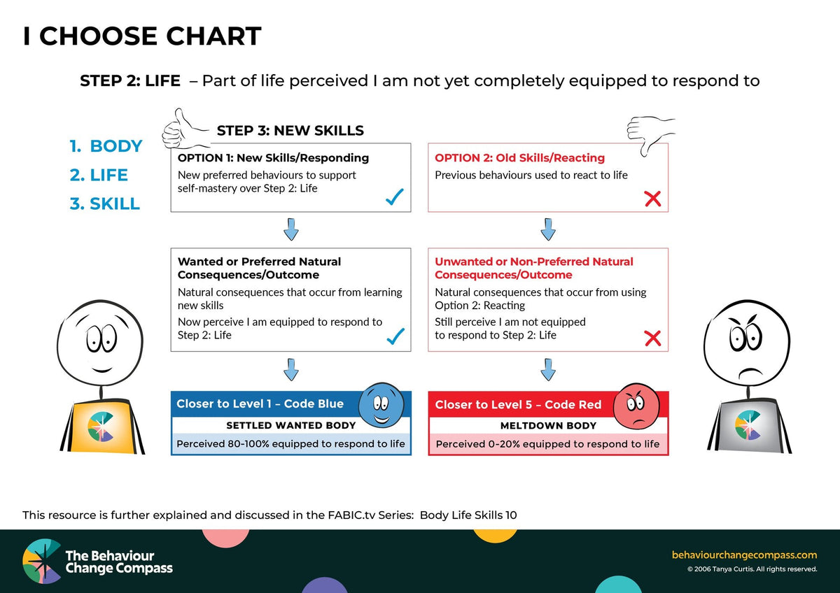 I choose chart - A visual description – Behaviour Change Poster 26
