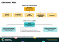 Defining ASD (Autism Spectrum Disorder) – Behaviour Change Poster 30