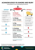 Acknowledge vs ignore and bury – Behaviour Change Poster 36
